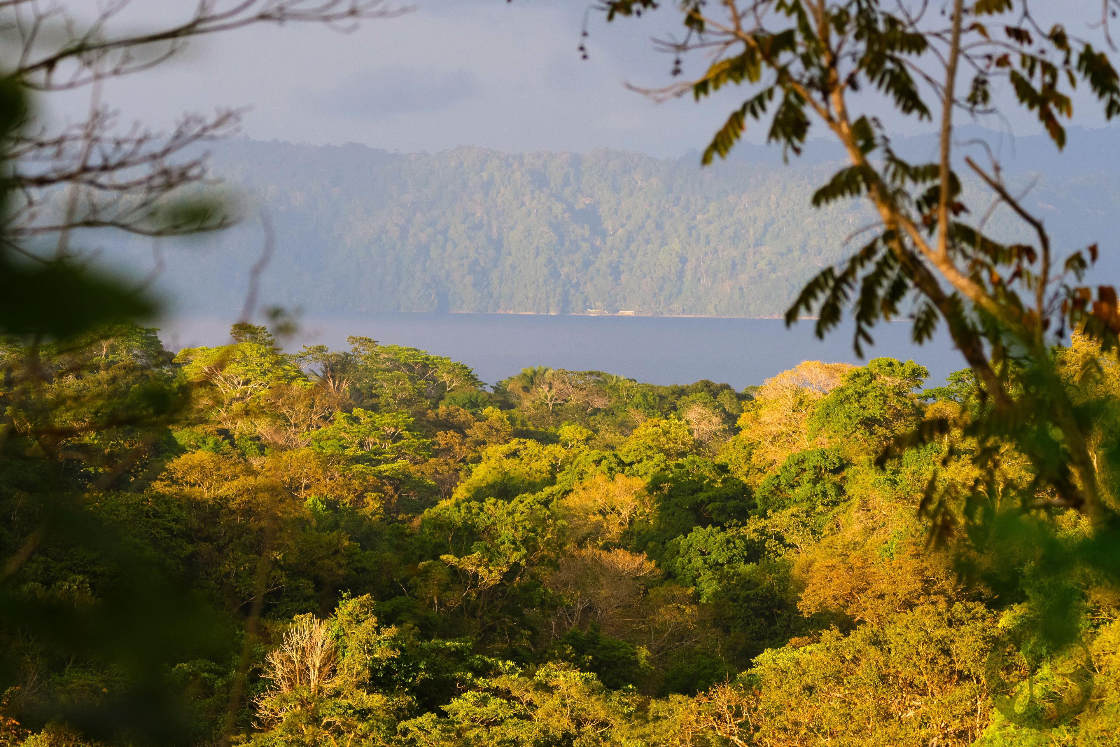 view from Villa Bruno