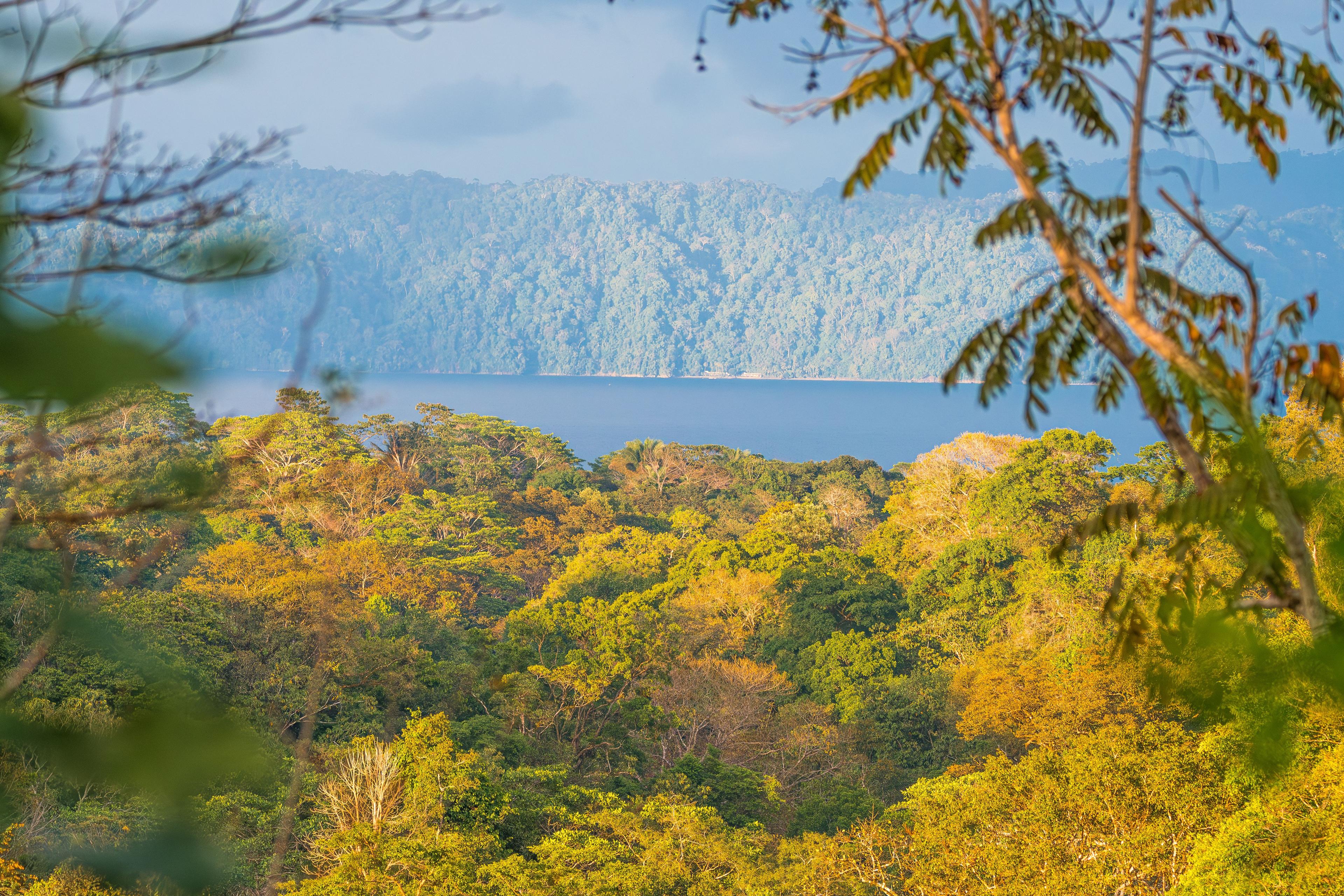view of Golfo Dulce from Finca Guarumo